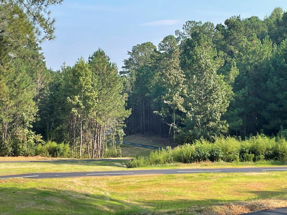 River's Edge Phase 2 Walking Trail